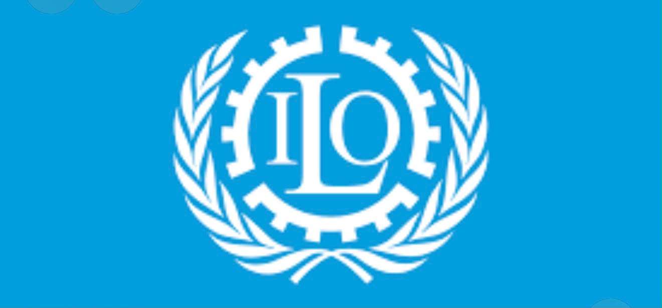 الشركاء